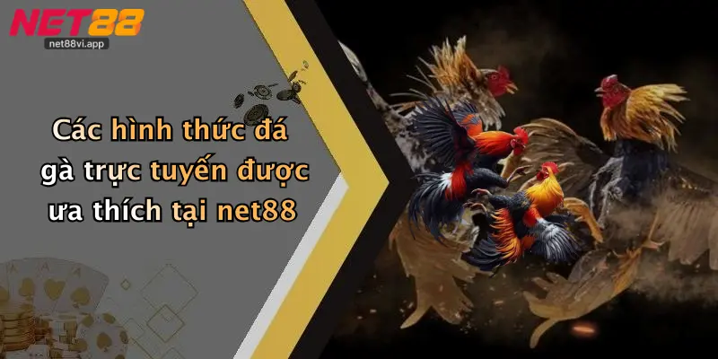 Đá Gà Trực Tuyến 4 Các hình thức đá gà trực tuyến được ưa thích tại net88