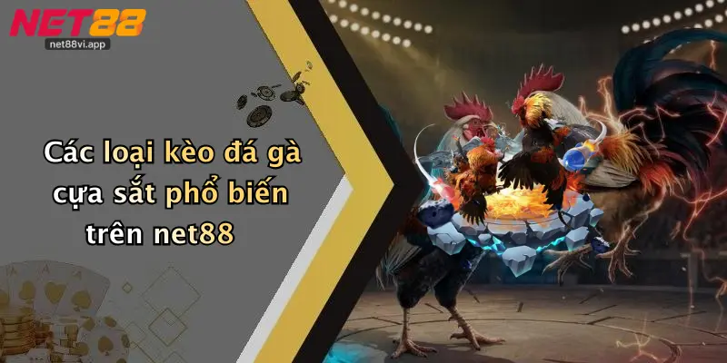 Đá Gà Cựa Sắt 4 Các loại kèo đá gà cựa sắt phổ biến trên net88