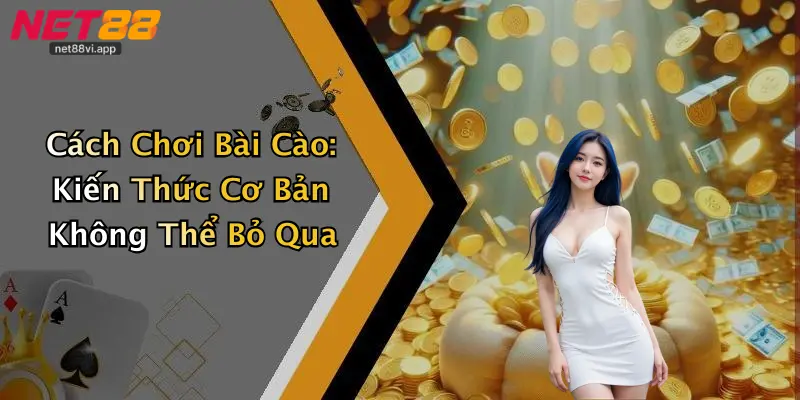 Cách Chơi Bài Cào: Kiến Thức Cơ Bản Không Thể Bỏ Qua