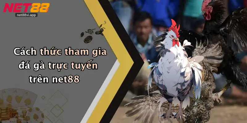 Đá Gà Trực Tuyến 3 Cách thức tham gia đá gà trực tuyến trên net88