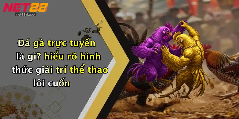 Đá Gà Trực Tuyến 2 Đá gà trực tuyến là gì? hiểu rõ hình thức giải trí thể thao lôi cuốn