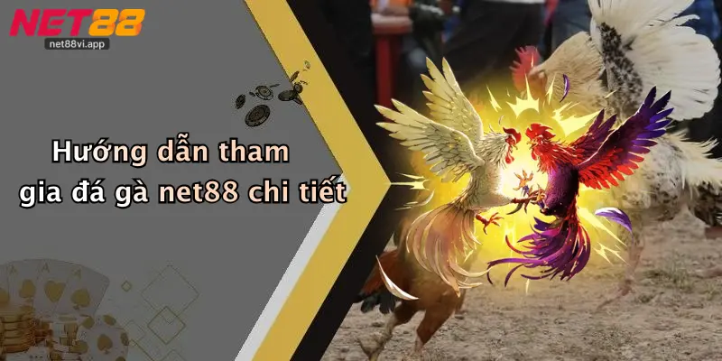 Hướng dẫn tham gia đá gà net88 chi tiết