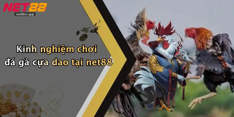 Đá Gà Cựa Dao 5 Kinh nghiệm chơi đá gà cựa dao tại net88