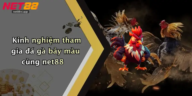 Đá Gà Bảy Màu 4 Kinh nghiệm tham gia đá gà bảy màu cùng net88