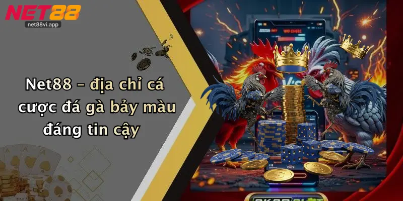 Đá Gà Bảy Màu 3 Net88 – địa chỉ cá cược đá gà bảy màu đáng tin cậy