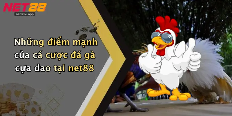 Đá Gà Cựa Dao 4 Những điểm mạnh của cá cược đá gà cựa dao tại net88