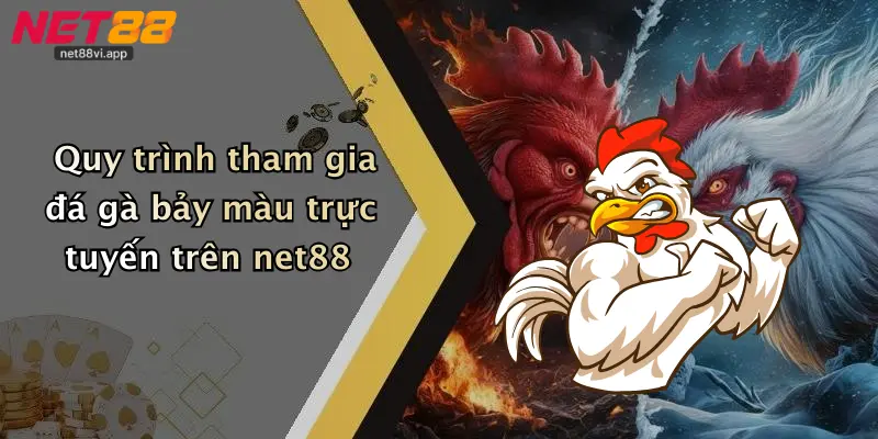 Đá Gà Bảy Màu 5 Quy trình tham gia đá gà bảy màu trực tuyến trên net88
