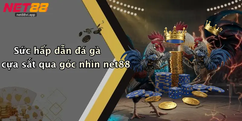 Đá Gà Cựa Sắt 2 Sức hấp dẫn đá gà cựa sắt qua góc nhìn net88