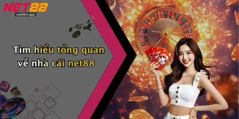 Mẹo Bắt Kèo Chuẩn 2 Tìm hiểu tổng quan về nhà cái net88