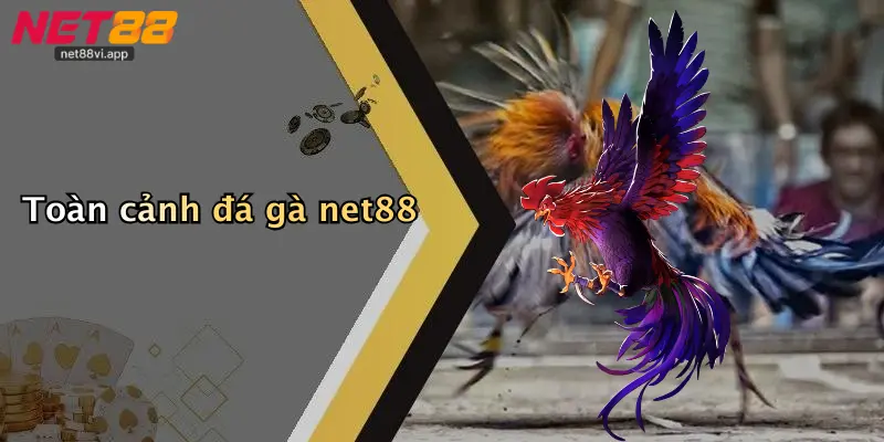 Toàn cảnh đá gà net88