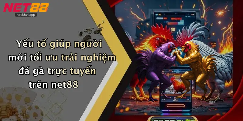 Đá Gà Trực Tuyến 5 Yếu tố giúp người mới tối ưu trải nghiệm đá gà trực tuyến trên net88